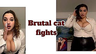 Brutal Cat Fights