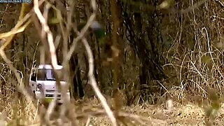 Japanese Love Story Prisoners Escapes